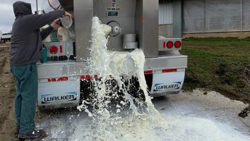 Farmer dumping milk out of a truck